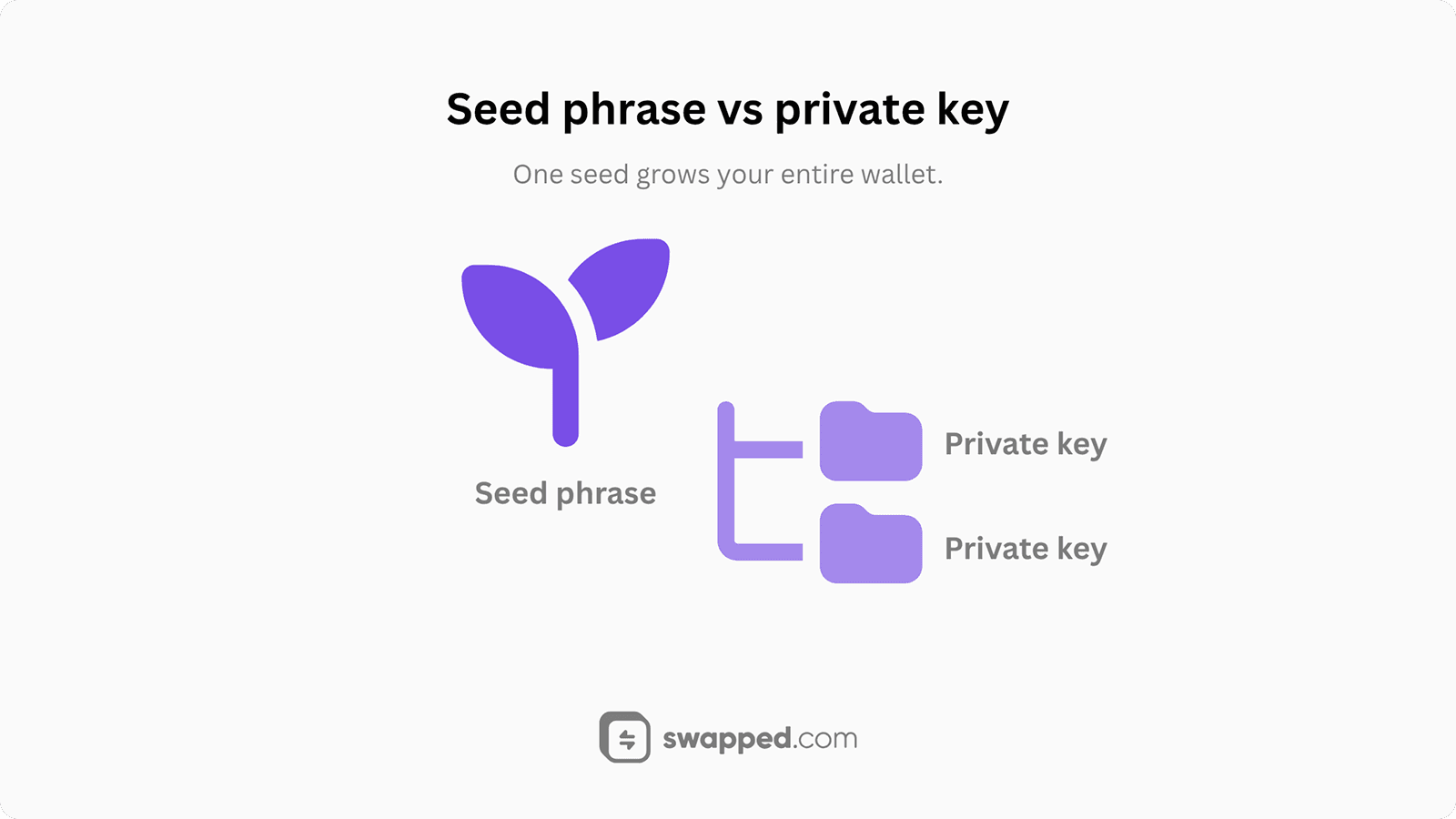 Seed phrase vs private key